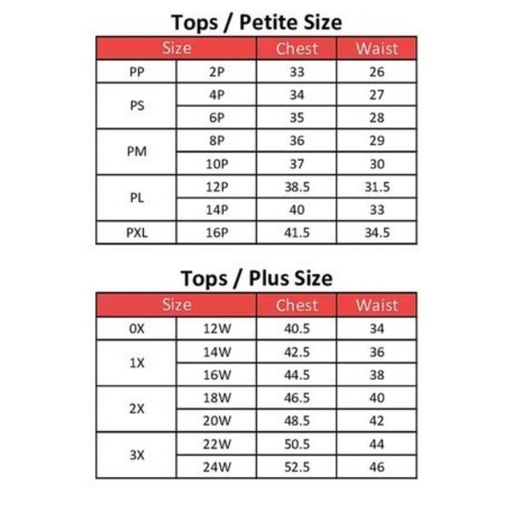 NEW Style & Co Top Shirt Plus Size Embroidered - Picture 3 of 3